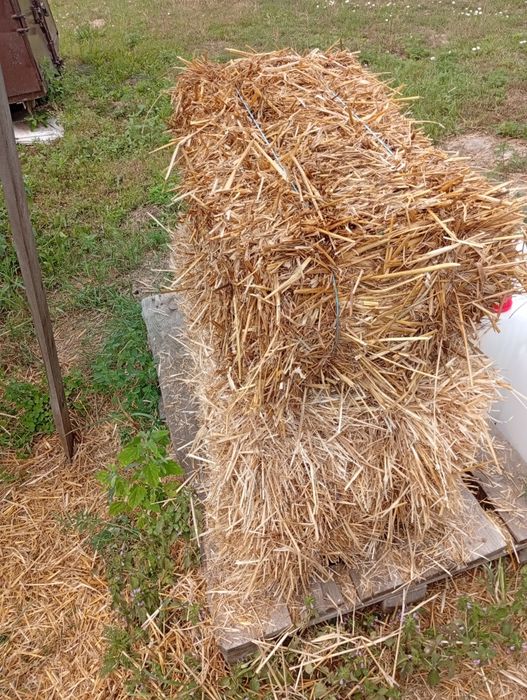 Продам солому в круглых квадратных тюках