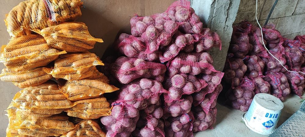 Buraki buraczki ćwikłowe czerwone (ziemniaki cebula)