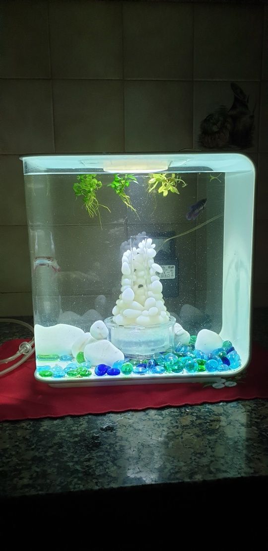 Aquario Biorb 15L