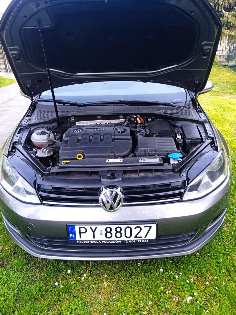 Volkswagen Golf 7 1.6 TDI