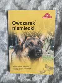 OWCZAREK NIEMIECKI Kupno, żywienie, pielęgnacja, charakter, zdrowie,