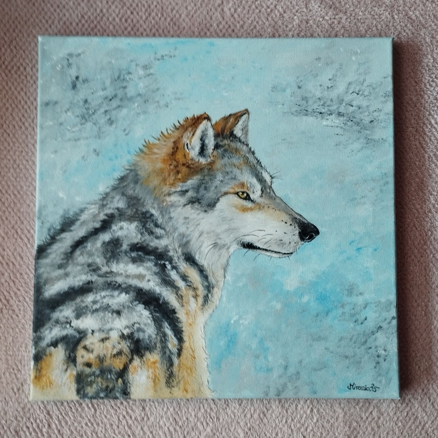 Wilk - portret - obraz 40*40cm