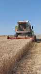 Claas Dominator 108 sl