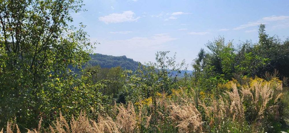 Продаж двох суміжних ділянок в Брюховичах, ліс, чудовий краєвид !