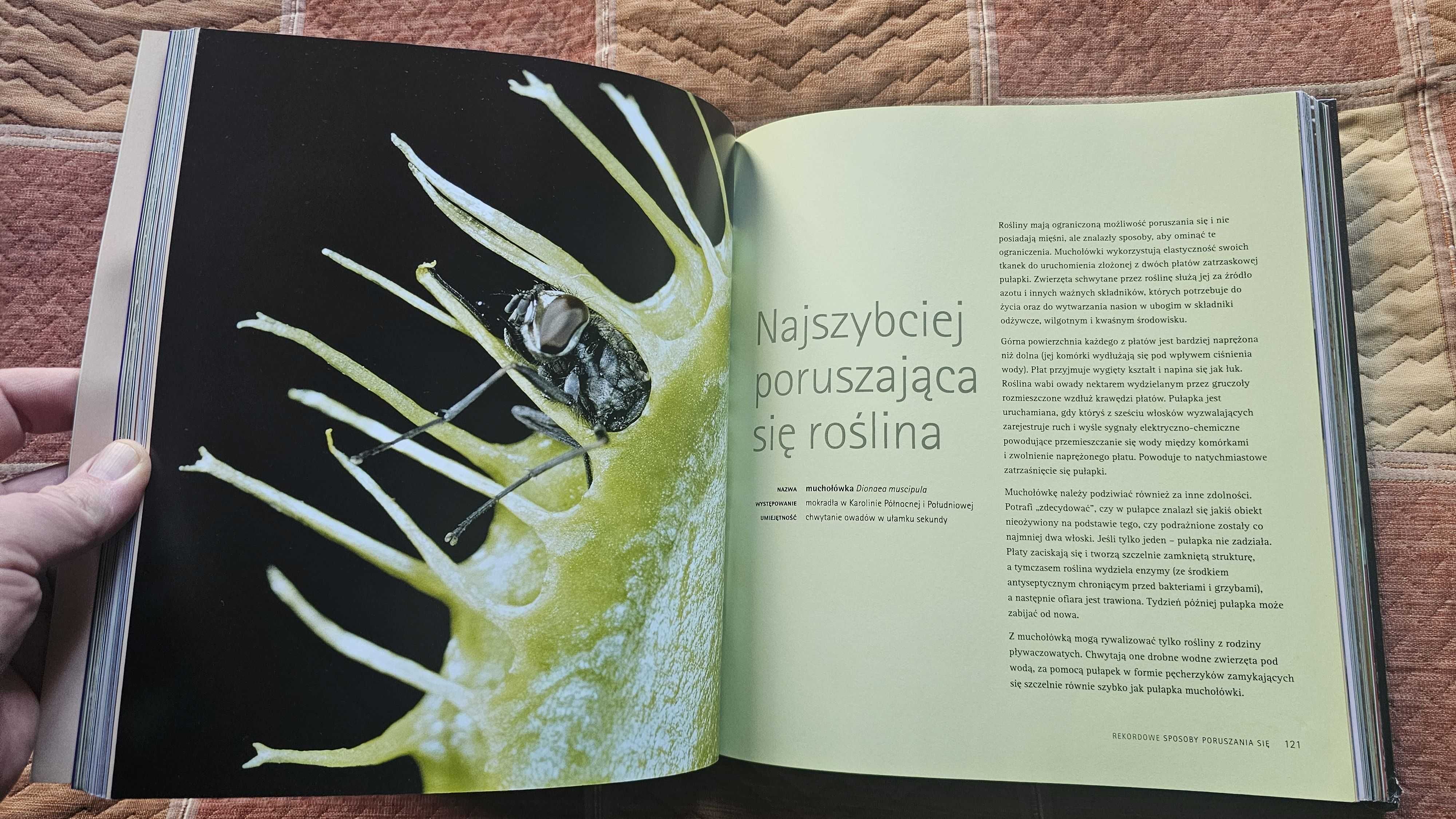A4 ALBUM Wybryki natury National Geographic Mark Carwardine