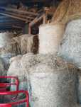 Sprzedam bale siana
