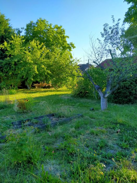 Sprzedam działkę ROD w Krzeszowicach