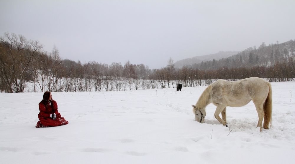 Czerwona suknia z kołnierzykiem