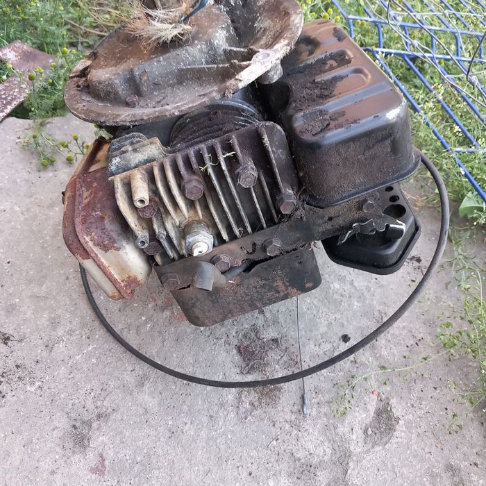 Silnik Briggs Stratton