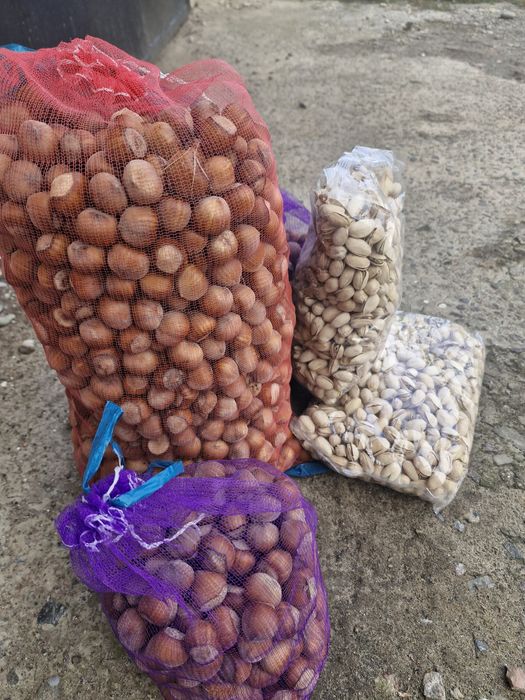 Фундук. Свіжий урожай.   Мед.  Фісташка.  Горіх