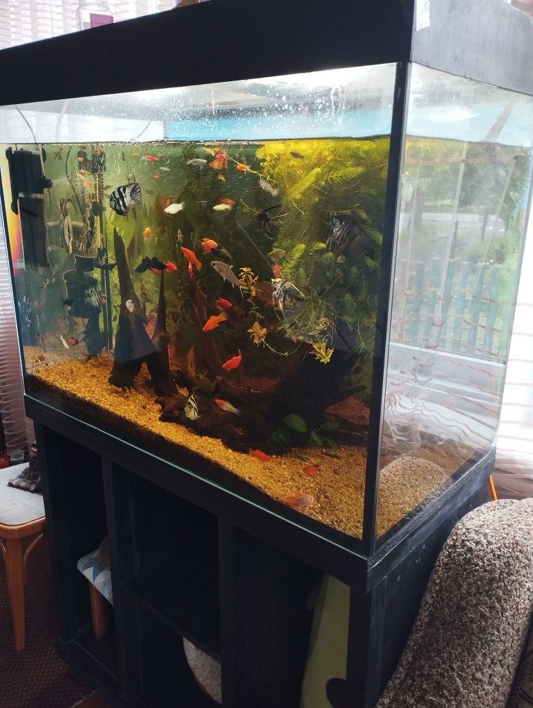 Продам Акваріум 350л