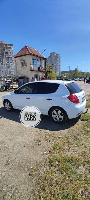 Оренда авто  Київ 3 100 грн