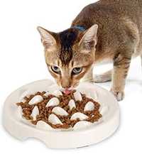 Miska spowalniająca jedzenie dla psa lub kota