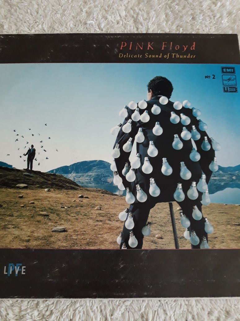 Pink Floyd- Delicate Sound of Thunder. LIVE, 2 LP.