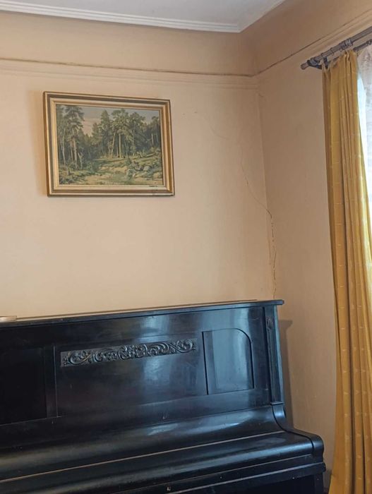 Продам будинок в центрі міста