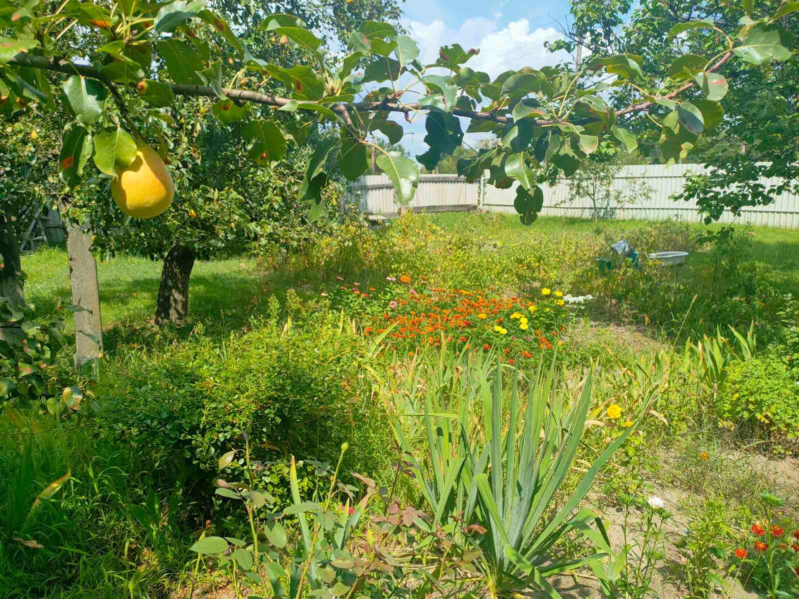 Терміновий продаж ВЛАСНОГО будинку з ремонтом в Києві