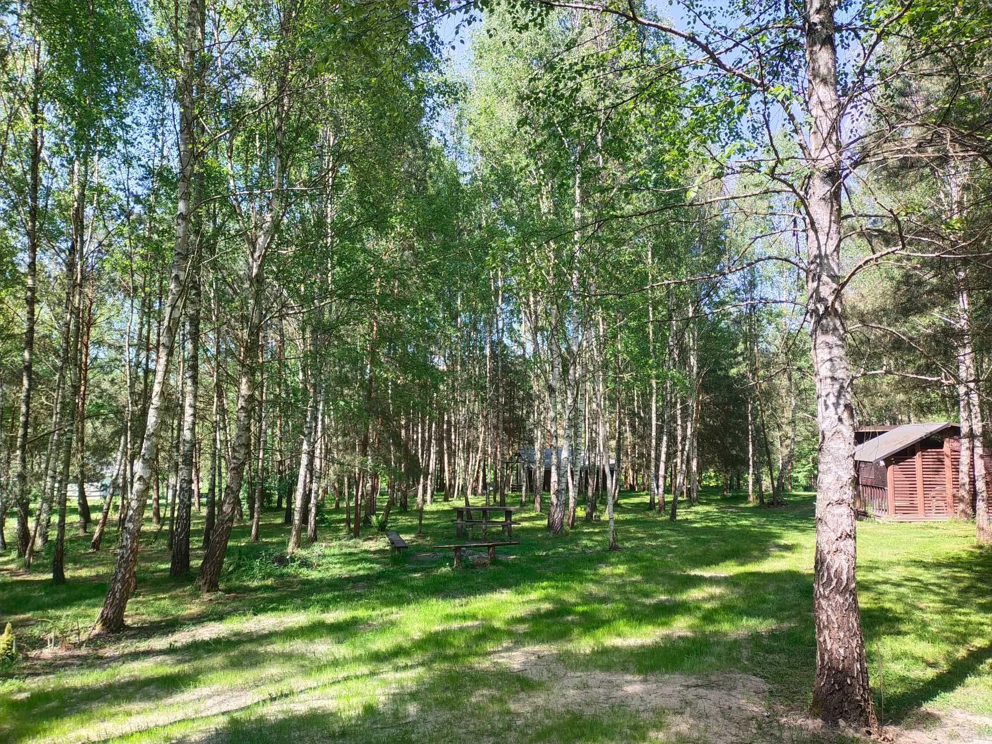 Domek Szumiąca Brzoza