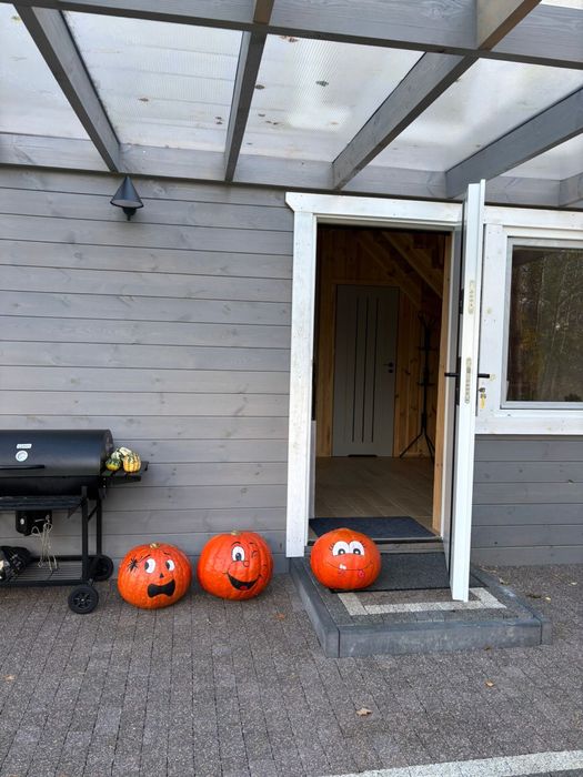 Dom letniskowy nad stawem do wynajęcia, Nowa Wieś