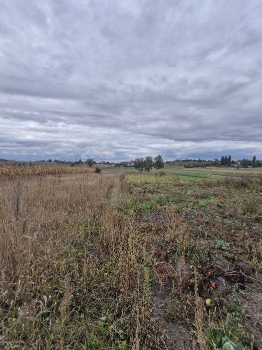 Продається будинок в с. Стара Котельня.