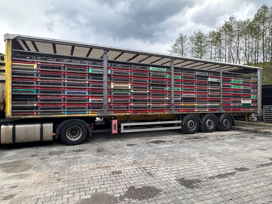 Fruehauf FST4FC  Firanka, Plandeka, Przewóz Żywego Drobiu