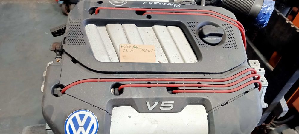 Motor VW V5 e Motor Audi V6