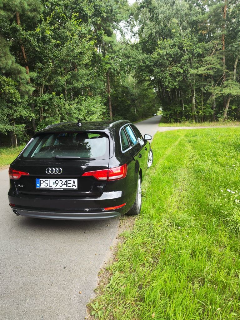 Audi A4 B9 TDI  2018r.
