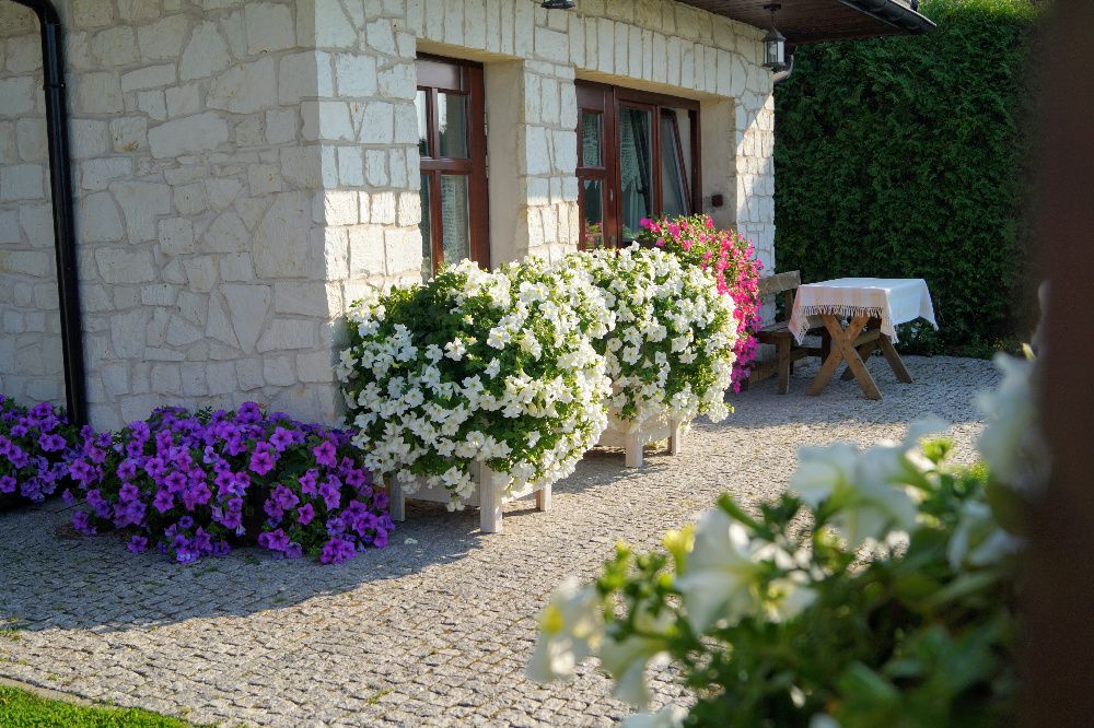 MIŁO.TU. Pokoje Gościnne Puławska 41, Kazimierz Dolny