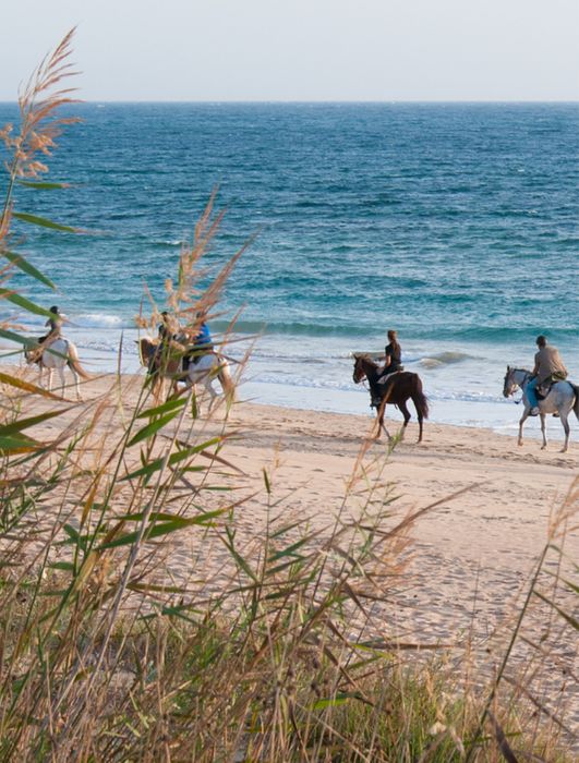 Caminhada na areia em troia todo o ano