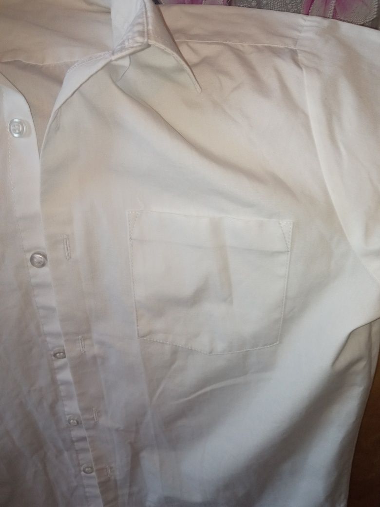 Белая рубашка с коротким рукавом