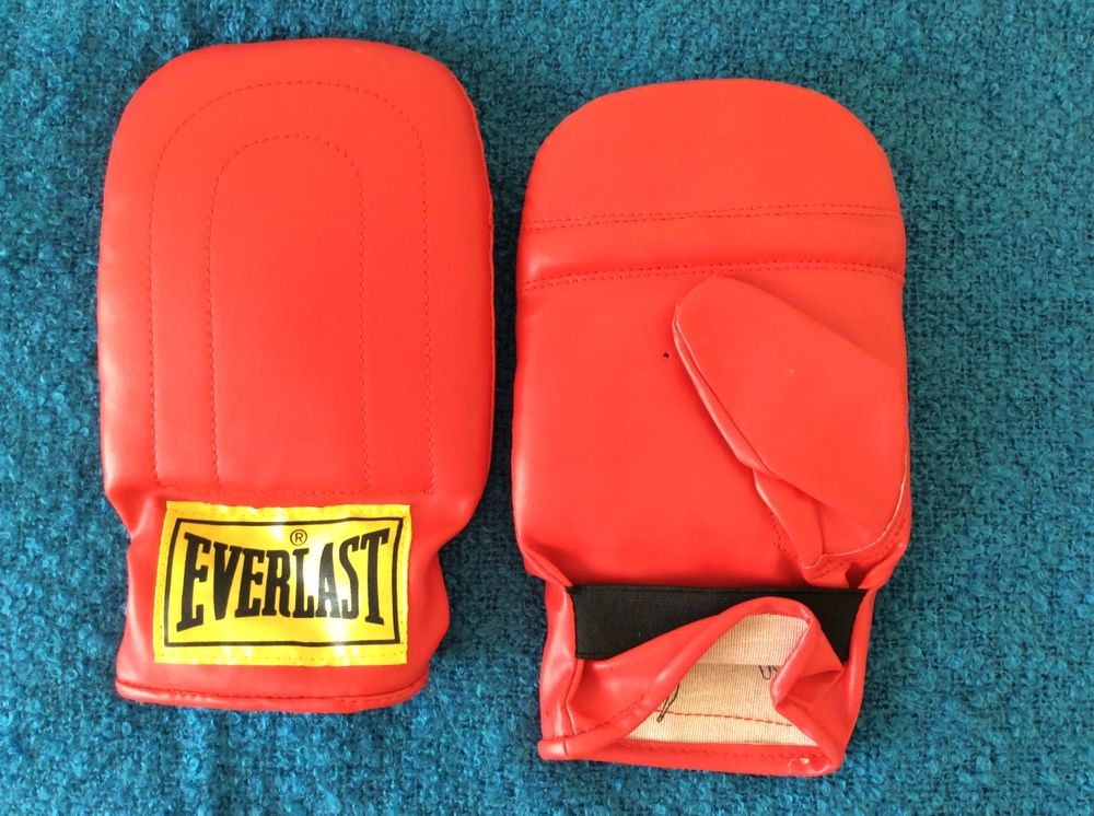 Pad de boxe - Everlast