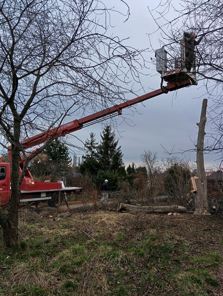 Wynajem podnośnika koszowego z operatorem 115zl/h
