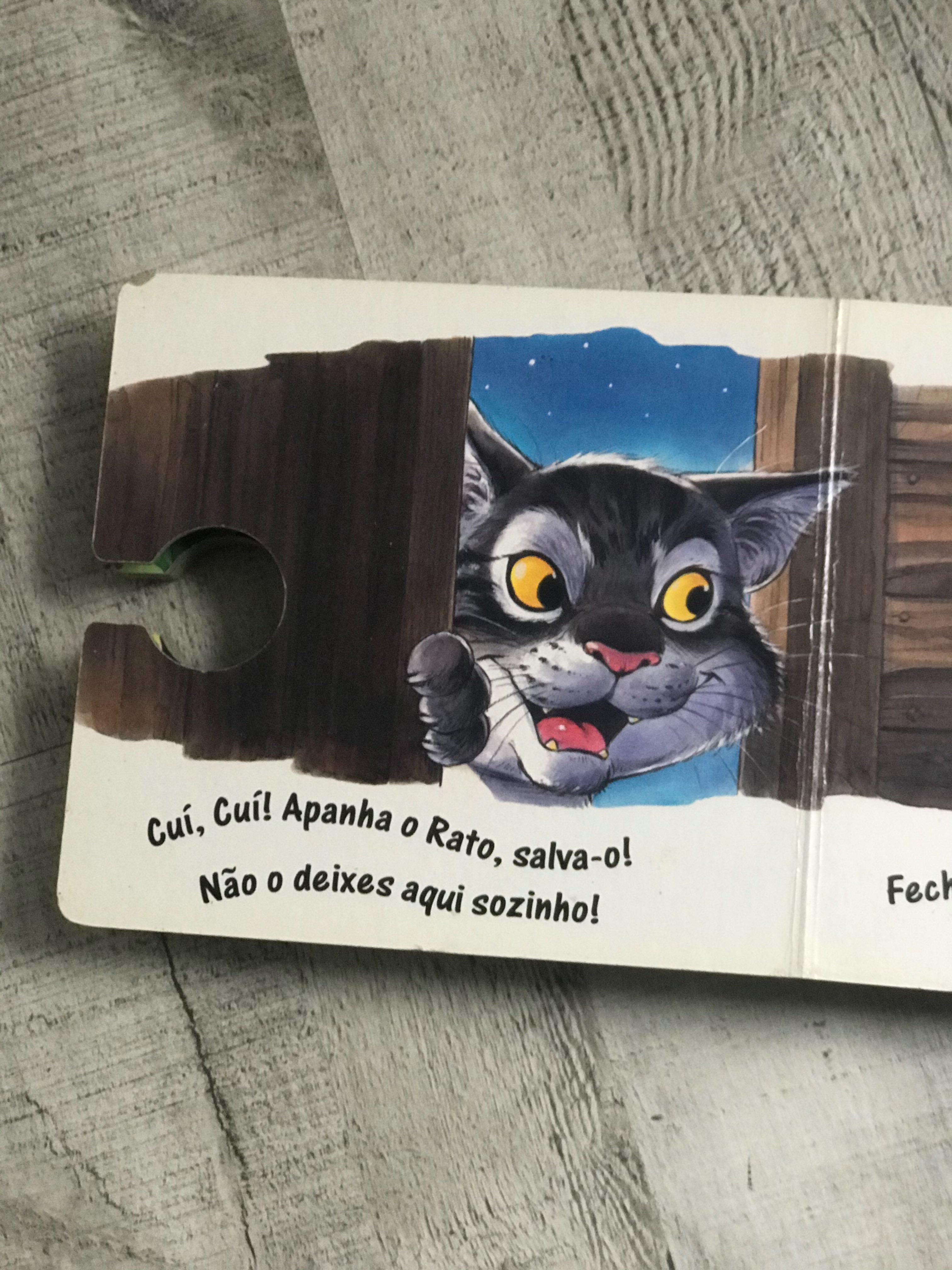 Livro Infantil Foge Ratinho Foge