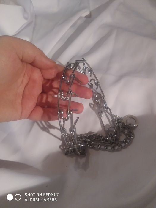 Строгий ошейник или парфорс для дрессировки собак на большую собаку