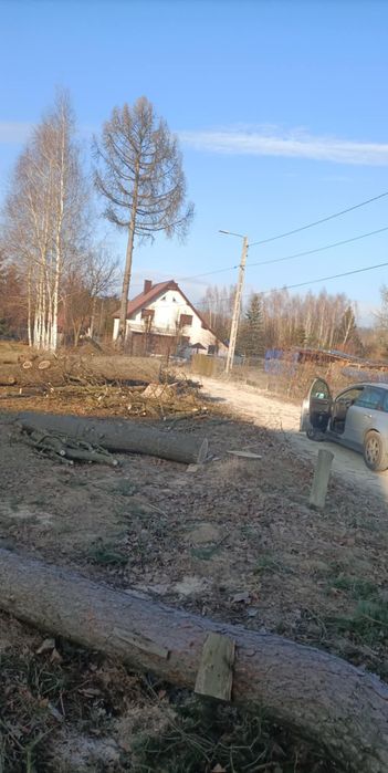 Wycinka drzew, prace alpinistyczne, zrębkowanie gałęzi