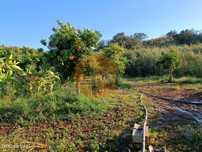 Terreno Com 4.880 M2 - Horta - Com Água De Rega E Nora - Rio Seco -...