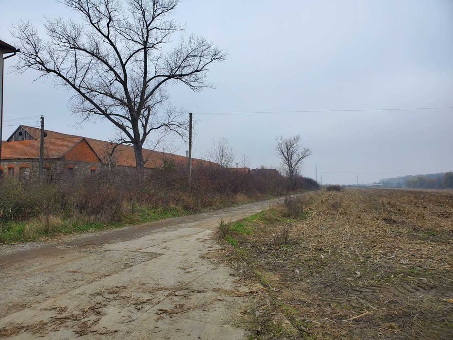 Будівля ферми під бізнес м. Берегове