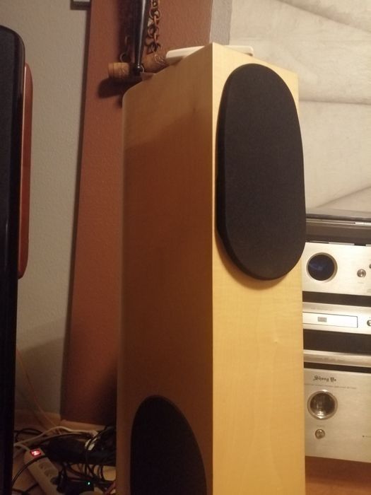 Audio Physic tempo VI