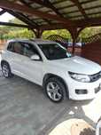 Tiguan I Fl.  R-line 2015 (GRUDZIEŃ)