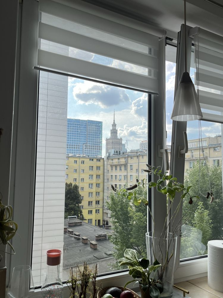 Przytulny duży pokój w centrum na wynajem