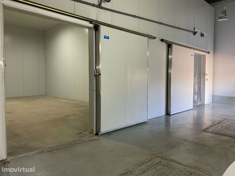 Aluguer de Câmaras Frigoríficas de Congelação Industriais