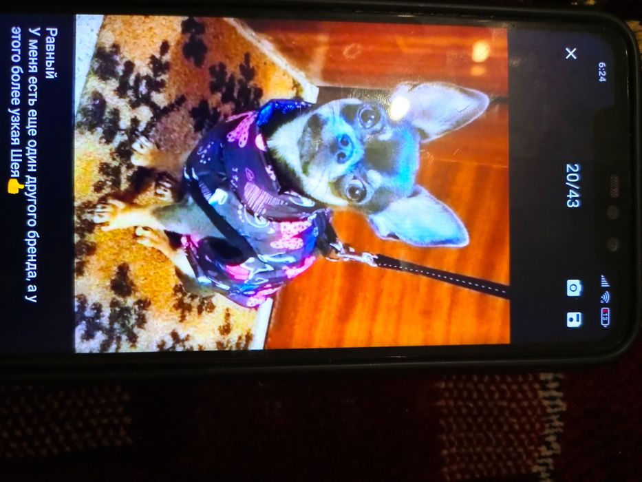 Теплий жилет  для лет