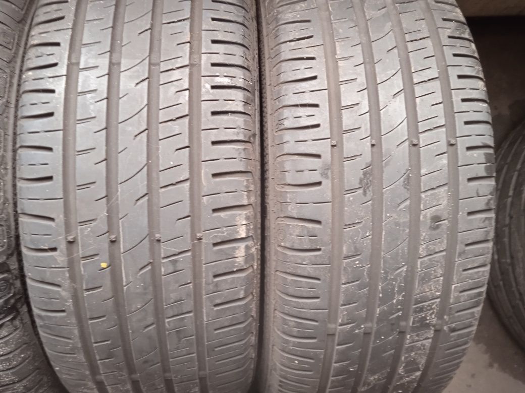 Opony letnie Barum 195/55R15