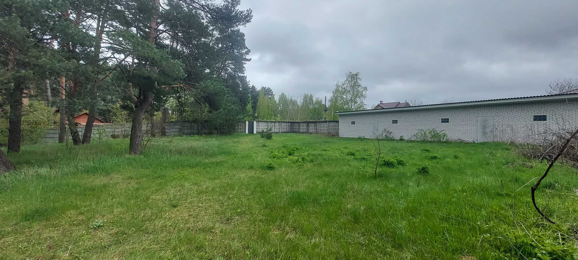 Продається З.Д.з будинком із шматочком власного соснового лісу