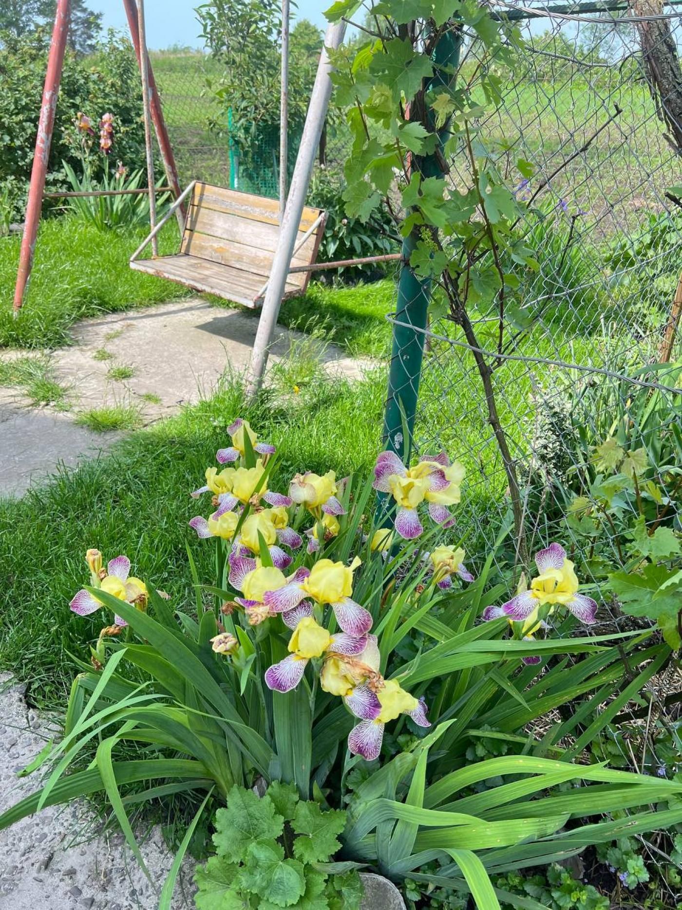 Будинок продаж . С.Тарасівка