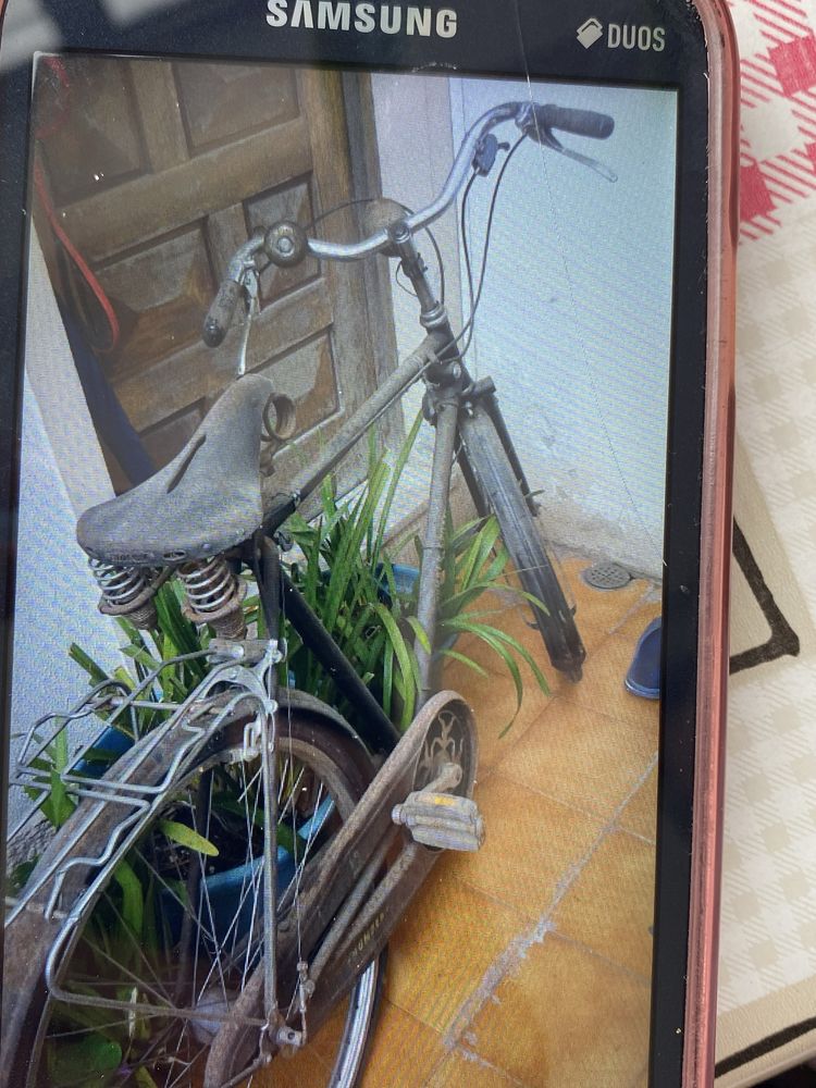 Bicicletas pasteleiras (3)
