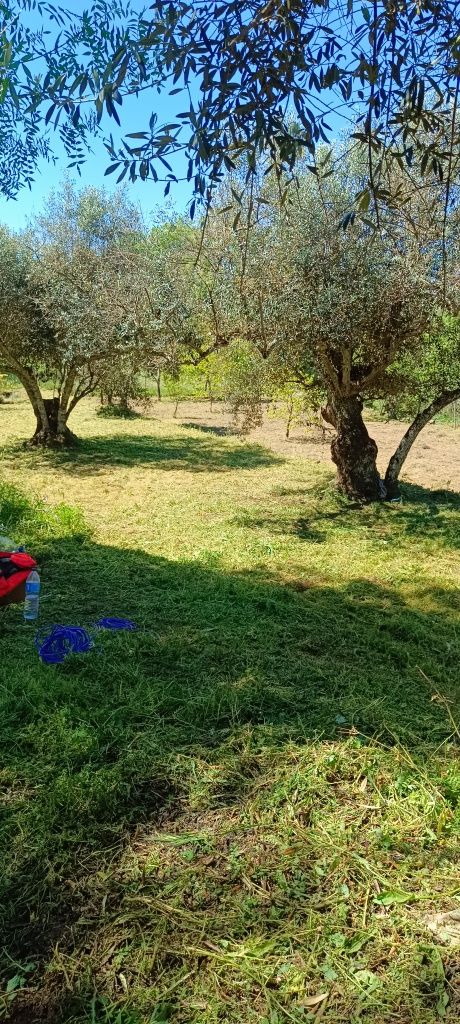 Terreno com 2,500m2 aldeia de santa Margarida castelo branco