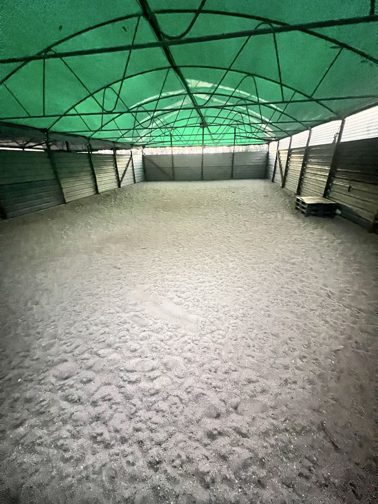 Dog hotel / Dog Training