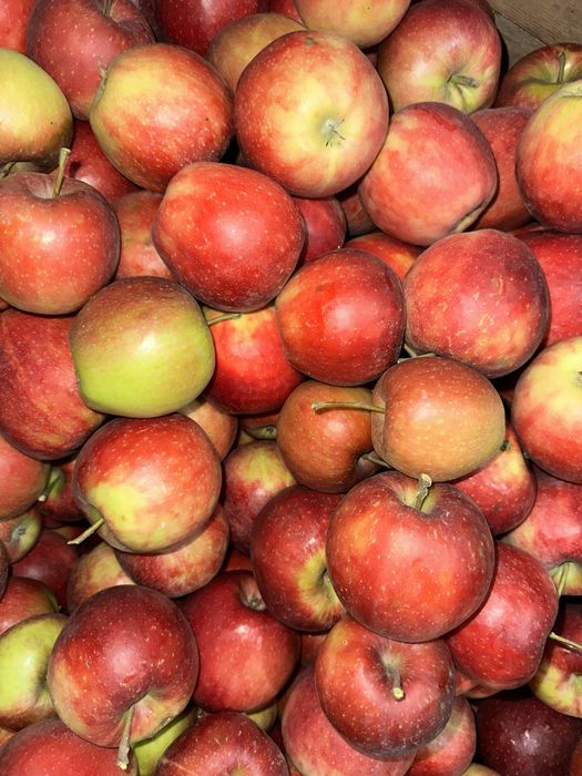 Яблука в наявності!