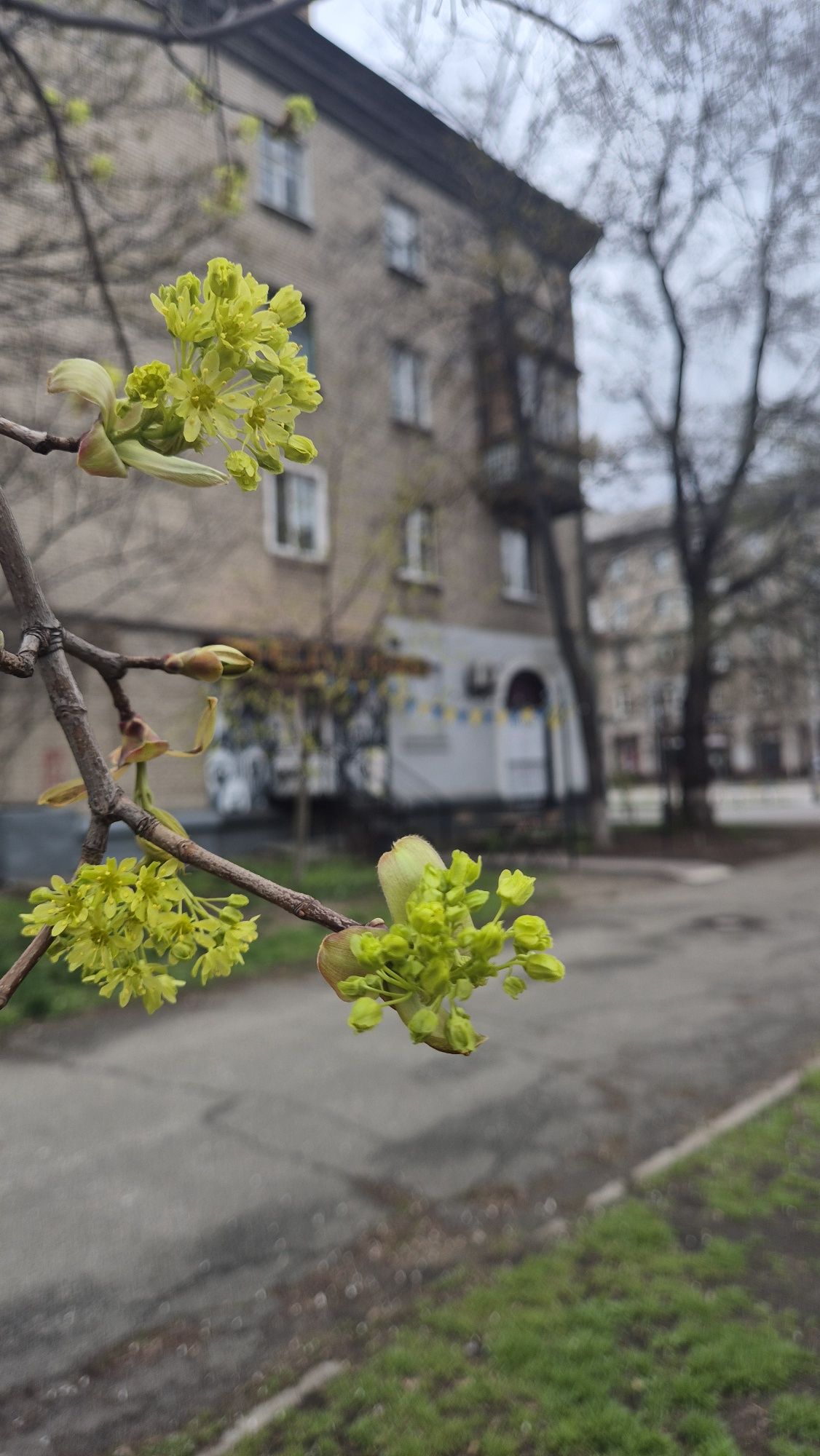 Продаж приміщення під кафе, кав"ярню, 42м. Фасадна сталінка, М.Дарниця