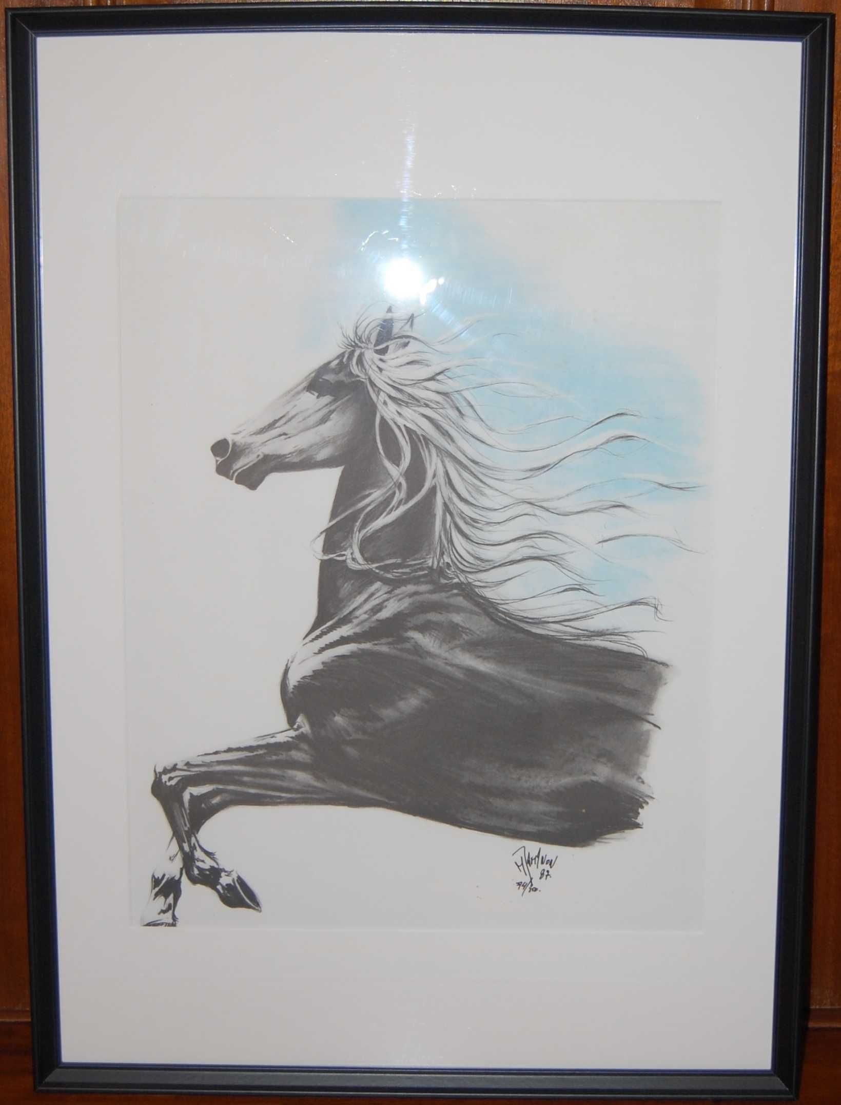 3 Quadros | Serigrafias | Cavalos